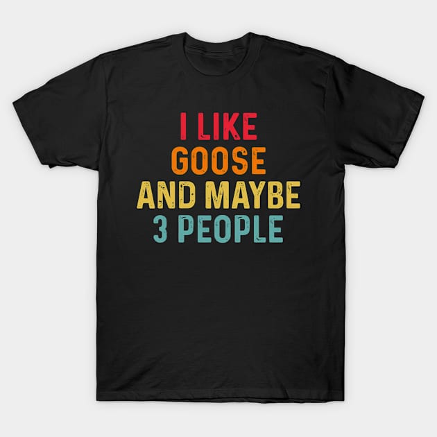 I Like Goose And Maybe 3 People Retro Vintage T-Shirt by HeroGifts